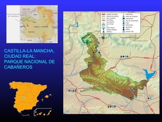 CASTILLA-LA MANCHA,
CIUDAD REAL:
PARQUE NACIONAL DE
CABAÑEROS
 