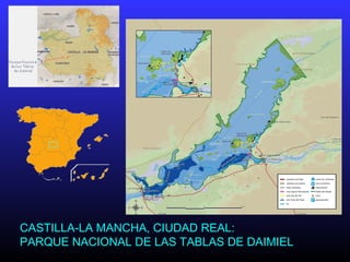 CASTILLA-LA MANCHA, CIUDAD REAL:
PARQUE NACIONAL DE LAS TABLAS DE DAIMIEL
 