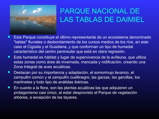 PARQUE NACIONAL DE
LAS TABLAS DE DAIMIEL
 Este Parque constituye el último representante de un ecosistema denominado
"tablas" fluviales o desbordamiento de los cursos medios de los ríos, en este
caso el Cigüela y el Guadiana, y que conforman un tipo de humedal
característico del centro peninsular que está en clara regresión.
 Este humedal es hábitat y lugar de supervivencia de la avifauna, que utiliza
estas zonas como área de invernada, mancada y nidificación, creando una
Zona Integral de aves acuáticas.
 Destacan por su importancia y adaptación, el somormujo lavanco, el
zampullín común y el zampullín cuellinegro, las garzas, las garcillas, los
martinetes y todo tipo de anátidas ibéricas.
 En cuanto a la flora, son las plantas acuáticas las que adquieren un
protagonismo casi único, al estar desprovisto el Parque de vegetación
arbórea, a excepción de los tayares.
 