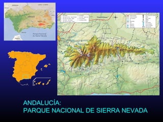 ANDALUCÍA:
PARQUE NACIONAL DE SIERRA NEVADA
 