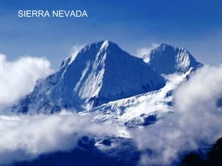 SIERRA NEVADA
 
