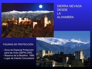 SIERRA NEVADA
DESDE
LA
ALHAMBRA
FIGURAS DE PROTECCIÓN:
- Zona de Especial Protección
para las Aves (ZEPA) 2002.
- Reserva de la Biosfera. 1986.
- Lugar de Interés Comunitario
 