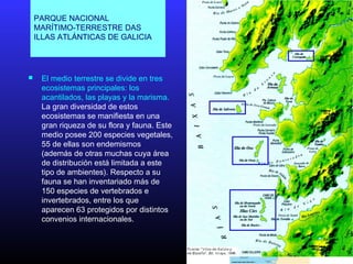 PARQUE NACIONAL
MARÍTIMO-TERRESTRE DAS
ILLAS ATLÁNTICAS DE GALICIA
 El medio terrestre se divide en tres
ecosistemas principales: los
acantilados, las playas y la marisma.
La gran diversidad de estos
ecosistemas se manifiesta en una
gran riqueza de su flora y fauna. Este
medio posee 200 especies vegetales,
55 de ellas son endemismos
(además de otras muchas cuya área
de distribución está limitada a este
tipo de ambientes). Respecto a su
fauna se han inventariado más de
150 especies de vertebrados e
invertebrados, entre los que
aparecen 63 protegidos por distintos
convenios internacionales.
 