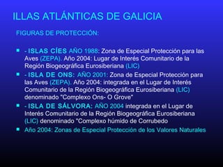 ILLAS ATLÁNTICAS DE GALICIA
FIGURAS DE PROTECCIÓN:
 - ISLAS CÍES AÑO 1988: Zona de Especial Protección para las
Aves (ZEPA). Año 2004: Lugar de Interés Comunitario de la
Región Biogeográfica Eurosiberiana (LIC)
 - ISLA DE ONS: AÑO 2001: Zona de Especial Protección para
las Aves (ZEPA). Año 2004: integrada en el Lugar de Interés
Comunitario de la Región Biogeográfica Eurosiberiana (LIC)
denominado "Complexo Ons- O Grove"
 - ISLA DE SÁLVORA: AÑO 2004 integrada en el Lugar de
Interés Comunitario de la Región Biogeográfica Eurosiberiana
(LIC) denominado "Complexo húmido de Corrubedo
 Año 2004: Zonas de Especial Protección de los Valores Naturales
 