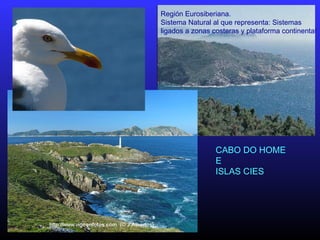 CABO DO HOME
E
ISLAS CIES
Región Eurosiberiana.
Sistema Natural al que representa: Sistemas
ligados a zonas costeras y plataforma continental
 