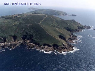 ARCHIPIÉLAGO DE ONS
 