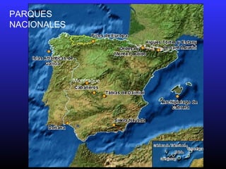 Monfragüe
PARQUES
NACIONALES
 