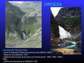 ORDESA
FIGURAS DE PROTECCIÓN:
- Zona de Especial Protección para las Aves (ZEPA) 1988.
- Reserva de la Biosfera. 1977.
- Diploma del Consejo de Europa a la Conservación. 1988, 1993, 1998 y
2003.
- Patrimonio Mundial de la UNESCO 1997
 