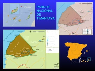 PARQUE
NACIONAL
DE
TIMANFAYA
 