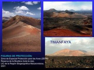 FIGURAS DE PROTECCIÓN:
Zona de Especial Protección para las Aves (ZEPA)
Reserva de la Biosfera (toda la isla).
LIC de la Región Biogeográfica Macaronésica.
2001
TIMANFAYA
 