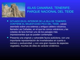 ISLAS CANARIAS, TENERIFE:
PARQUE NACIONAL DEL TEIDE
 SITUADO EN EL INTERIOR DE LA ISLA DE TENERIFE,
CONTIENE EL MAJESTUOSO PICO DEL TEIDE, volcán
asentado sobre una extensa y antigua caldera volcánica,
llamada Las Cañadas, en el que los conos volcánicos y las
coladas de lava forman uno de los paisajes más
impresionantes que se pueden contemplar.
 Presenta una original y vulnerable fauna autóctona, con una
importante representación de invertebrados en cuanto a
número y exclusividad, y con una gran riqueza de especies
vegetales, muchas de ellas de carácter endémico.
 