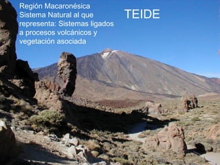 TEIDE
Región Macaronésica
Sistema Natural al que
representa: Sistemas ligados
a procesos volcánicos y
vegetación asociada
 