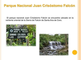 El parque nacional Juan Crisóstomo Falcón se encuentra ubicado en la
vertiente oriental de la Sierra de Falcón de Santa Ana de Coro.
Parque Nacional Juan Crisóstomo Falcón
 