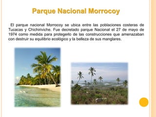 Parque Nacional Morrocoy
El parque nacional Morrocoy se ubica entre las poblaciones costeras de
Tucacas y Chichiriviche. Fue decretado parque Nacional el 27 de mayo de
1974 como medida para protegerlo de las construcciones que amenazaban
con destruir su equilibrio ecológico y la belleza de sus manglares.
 