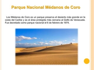 Parque Nacional Médanos de Coro
Los Médanos de Coro es un parque preserva el desierto más grande en la
costa del Caribe y es el área protegida más cercana al Golfo de Venezuela.
Fue decretado como parque nacional el 6 de febrero de 1974.
 