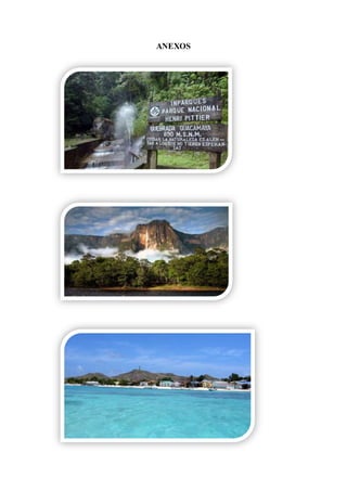 ANEXOS
 