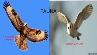 parques-nacionales-de-canarias-pptx