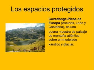 Los espacios protegidos
Covadonga-Picos de
Europa (Asturias, León y
Cantabria), es una
buena muestra de paisaje
de montaña atlántica,
sobre un modelado
kárstico y glaciar.
 