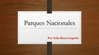 Parques Nacionales
Por: Sofía Rosas Lugardo
 
