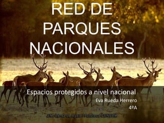 RED DE
PARQUES
NACIONALES
Espacios protegidos a nivel nacional
Eva Rueda Herrero
4ºA
 