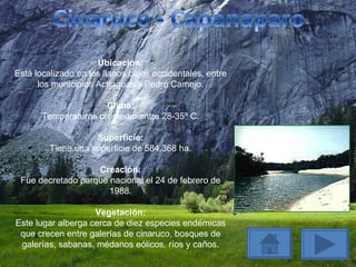 Ubicación: Está localizado en los llanos bajos occidentales, entre los municipios Achaguas y Pedro Camejo. Clima: Temperaturas promedio entre 28-35º C. Superficie: Tiene una superficie de 584.368 ha. Creación: Fue decretado parque nacional el 24 de febrero de 1988. Vegetación: Este lugar alberga cerca de diez especies endémicas que crecen entre galerías de cinaruco, bosques de galerías, sabanas, médanos eólicos, ríos y caños. 