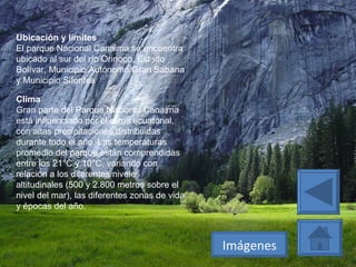 Ubicación y límites El parque Nacional Canaima se encuentra ubicado al sur del río Orinoco, Estado Bolívar, Municipio Autónomo Gran Sabana y Municipio Sifontes .  Clima Gran parte del Parque Nacional Canaima está influenciado por el clima ecuatorial, con altas precipitaciones distribuidas durante todo el año. Las temperaturas promedio del parque están comprendidas entre los 21°C y 10°C, variando con relación a los diferentes niveles altitudinales (500 y 2.800 metros sobre el nivel del mar), las diferentes zonas de vida y épocas del año.  Imágenes 