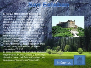 El Parque Nacional San Esteban  se encuentra en Venezuela, en la región central de la cordillera de la costa, tramo Occidental de la Serranía del Litoral. Al principio se concibió como extensión del Parque Nacional Henri Pittier. El lindero oriental de San Esteban colinda directamente con el lindero occidental de Henri Pittier, ambas son unidad de protección ecológica. Este parque fue creado en 1987, con una extensión de 44.500 hectáreas, una precipitación anual de 1033 mm y temperatura promedio mensual de 25,1 °C. El parque engloba los municipios Guacara, Naguanagua, Puerto Cabello y San Diego, ubicados dentro del Estado Carabobo, en la región centro-norte de Venezuela. Imágenes 