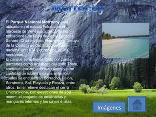 El  Parque Nacional Morrocoy  está ubicado en el estado Falcón, en el noroeste de Venezuela cerca de las poblaciones de Boca de Aroa, Tucacas, Sanare, Chichiriviche, Flamenco y Tocuyo de la Costa. Fue declarado parque nacional en 1974 y consta de 32.090 hectáreas. El parque se extiende tanto por zonas terrestres como acuáticas del golfo Triste, contiene una zona de manglares y gran cantidad de islotes o cayos entre los cuales se encuentran Borracho, Pelón, Sombrero, Sal, Playuela y Peraza, entre otros. En el relieve destacan el cerro Chichiriviche, con elevaciones de 250 msnm; el conjunto de ensenadas y manglares internos y los cayos e islas. Imágenes 
