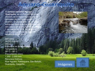 El  parque nacional Aguaro-Guariquito , es un Parque Nacional, ubicado en la región de Los Llanos centrales del sur en el estado Guarico, en Venezuela. Se extiende sobre los municipios de Las Mercedes del Llano y Miranda. Fue instaurado el 7 de marzo de 1974. Se extiende sobre una superficie de 585.750 hectáreas (5857 km²). Altimetría 34-225 msnm. Clima El bosque es lluvioso cálido. Temperatura 28º C - 38º C Precipitación (mm) 1.200 - 2.000 mm. Recursos Hídricos Ríos Aguaro, Faldisquera, San Bartolo, Guariquito, Caujarito. Imágenes 