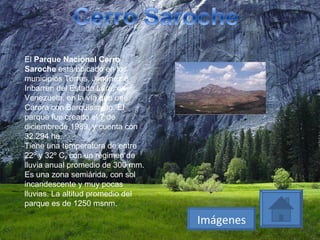 El  Parque Nacional Cerro Saroche  está ubicado en los municipios Torres, Jiménez e Iribarren del Estado Lara, en Venezuela, en la vía que une Carora con Barquisimeto. El parque fue creado el 7 de diciembrede 1989, y cuenta con 32.294 ha. Tiene una temperatura de entre 22º y 32º C, con un régimen de lluvia anual promedio de 300 mm. Es una zona semiárida, con sol incandescente y muy pocas lluvias. La altitud promedio del parque es de 1250 msnm. Imágenes 