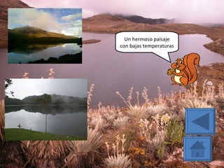 Un hermoso paisaje con bajas temperaturas 