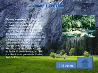 El  parque nacional El Tamá  es una parque nacional de Venezuela un área protegida de 139.000 ha, localizada en los estados Táchira (125.100 ha, 90% de la superficie del parque) y Apure (13.900 ha, 10% de la superficie del parque), en la frontera con Colombia. Creado como Parque Nacional por el Decreto de la Presidencia de la República de Venezuela N° 2984, de fecha 12 de diciembre,de 1978, por el entonces presidente Carlos Andrés Pérez. Imágenes 