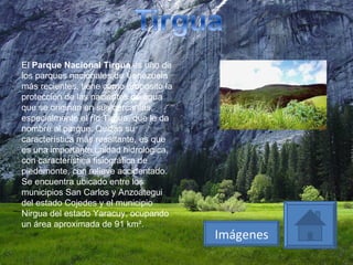 El  Parque Nacional Tirgua  es uno de los parques nacionales,de Venezuela más recientes, tiene como propósito la protección de las nacientes de agua que se originan en sus cercanías, especialmente el río Tirgua, que le da nombre al parque. Quizás su característica más resaltante, es que es una importante unidad hidrológica, con característica fisiográfica de piedemonte, con relieve accidentado. Se encuentra ubicado entre los municipios San Carlos y Anzoátegui del estado Cojedes y el municipio Nirgua del estado Yaracuy, ocupando un área aproximada de 91 km². Imágenes 
