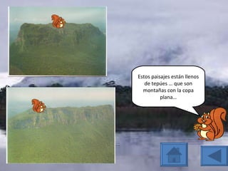 Estos paisajes están llenos de tepúes … que son montañas con la copa plana… 