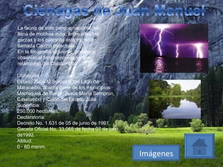 La fauna de este parque nacional, se llena de muchas aves, entre ellas las garzas y los patos de está especie llamada Cairina moschata. En la fotografía siguiente, podemos observar el fenómeno natural del relámpago del Catatumbo. Ubicacion: Estado Zulia.Al Suroeste del Lago de Maracaibo, abarca parte de los municipios Machiques de Perijá, Jesús María Semprún, Catatumbo y Colón del Estado Zulia. Superficie: 250.000 hectáreas. Declaratoria: Decreto No. 1.631 de 05 de junio de 1991. Gaceta Oficial No. 33.065 de fecha 07 de julio de1992. Altitud: 0 - 60 msnm. Imágenes 