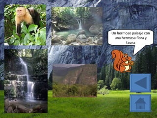 Un hermoso paisaje con una hermosa flora y fauna 