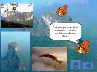 Estos paisajes están llenos de tepúes … que son montañas con la copa plana… 