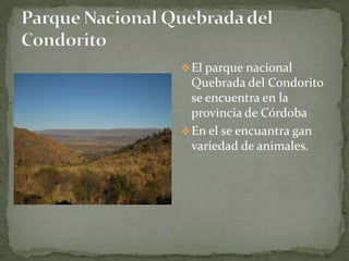 El parque nacional
Quebrada del Condorito
se encuentra en la
provincia de Córdoba
En el se encuantra gan
variedad de animales.
 