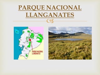 
PARQUE NACIONAL
LLANGANATES
 