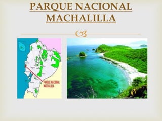 
PARQUE NACIONAL
MACHALILLA
 