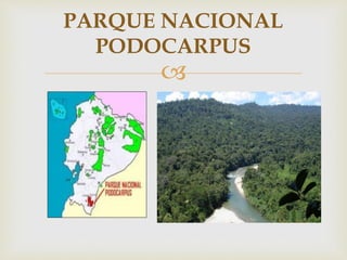 
PARQUE NACIONAL
PODOCARPUS
 