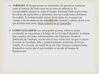
 TURISMO: El Parque posee un sinnúmero de atractivos turísticos
tanto al interior del área como en su zona de influencia. Es
recomendable planear la visita al Parque Nacional Podocarpus entre
los meses de septiembre y diciembre, por las condiciones climáticas
favorables. Es indispensable incluir binoculares en el equipo de
campo, a fin de observar las innumerables formas y colores de las aves
que habitan esta zona. (Ruta turística de la Cascarilla).
 COMO LLEGAMOS: Los principales accesos, sobre su sector
occidental, se encuentran a lo largo de la vía Loja-Valladolid, la misma
que conduce al Centro Administrativo de Cajanuma. Desde la
población de Yambala, mucho más al sur, existe otra vía que va hacia
el sector de Numbala Alto y, posteriormente, al mirador de Cerro
Toledo. Por el norte, un ramal de la vía Loja−Zamora continúa hasta
Romerillos, sector por el que también se accede al bosque de
Bombuscaro.
 