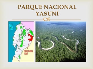 
PARQUE NACIONAL
YASUNÍ
 