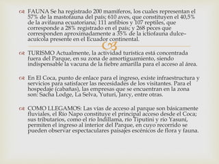 
 FAUNA Se ha registrado 200 mamíferos, los cuales representan el
57% de la mastofauna del país; 610 aves, que constituyen el 40,5%
de la avifauna ecuatoriana; 111 anfibios y 107 reptiles, que
corresponde a 28% registrado en el país; y 268 peces que
corresponden aproximadamente a 35% de la ictiofauna dulce–
acuícola presente en el Ecuador continental.
 TURISMO Actualmente, la actividad turística está concentrada
fuera del Parque, en su zona de amortiguamiento, siendo
indispensable la vacuna de la fiebre amarilla para el acceso al área.
 En El Coca, punto de enlace para el ingreso, existe infraestructura y
servicios para satisfacer las necesidades de los visitantes. Para el
hospedaje (cabañas), las empresas que se encuentran en la zona
son: Sacha Lodge, La Selva, Yuturi, Jarcy, entre otras.
 COMO LLEGAMOS: Las vías de acceso al parque son básicamente
fluviales, el Río Napo constituye el principal acceso desde el Coca;
sus tributarios, como el río Indillama, río Tiputini y río Yasuní,
permiten el ingreso al interior del Parque, en cuyo recorrido se
pueden observar espectaculares paisajes escénicos de flora y fauna.
 