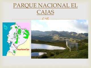 
PARQUE NACIONAL EL
CAJAS
 