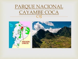
PARQUE NACIONAL
CAYAMBE COCA
 