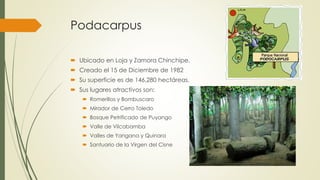 Podacarpus
 Ubicado en Loja y Zamora Chinchipe.
 Creado el 15 de Diciembre de 1982
 Su superficie es de 146,280 hectáreas.
 Sus lugares atractivos son:
 Romerillos y Bombuscaro
 Mirador de Cerro Toledo
 Bosque Petrificado de Puyango
 Valle de Vilcabamba
 Valles de Yangana y Quinara
 Santuario de la Virgen del Cisne
 