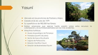 Yasuní
 Ubicado en las provincias de Pastaza y Napo.
 Creado el 26 de Julio de 1979
 Su superficie es de 982.000 hectáreas.
 Existen amenazas que ejercer fuerte presión sobre estos recursos; la
colonización y la actividad petrolera son las más evidentes.
 Atractivos turísticos:
 Museo Arqueológico de Pompeya
 Pompeya (puerto de palos)
 Sector de Nuevo Rocafuerte
 Laguna de Pañacocha
 Estación Científica Yasuní
 Estación de Biodiversidad Tiputini
 