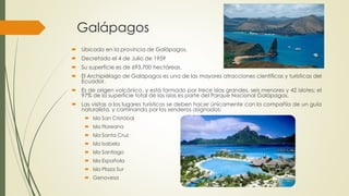 Galápagos
 Ubicado en la provincia de Galápagos.
 Decretado el 4 de Julio de 1959
 Su superficie es de 693.700 hectáreas.
 El Archipiélago de Galápagos es una de las mayores atracciones científicas y turísticas del
Ecuador.
 Es de origen volcánico, y está formado por trece islas grandes, seis menores y 42 islotes; el
97% de la superficie total de las islas es parte del Parque Nacional Galápagos.
 Las visitas a los lugares turísticos se deben hacer únicamente con la compañía de un guía
naturalista, y caminando por los senderos asignados:
 Isla San Cristóbal
 Isla Floreana
 Isla Santa Cruz
 Isla Isabela
 Isla Santiago
 Isla Española
 Isla Plaza Sur
 Genovesa
 