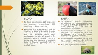 FLORA
 Se han identificado 220 especies
de plantas endémicas, 399
nativas y 119 introducidas.
 Esta flora fue transportada por los
vientos, el mar, el hombre o bien
por las propias aves que
emigraron desde el continente
llevando en sus plumas, patas y
picos algunas semillas y esporas
que pudieron germinar en el
suelo insular.
FAUNA
 Se pueden observar diferentes
especies de una fauna variada que
incluye a la tortuga gigante, de la
cual persisten 11 de las 14
subespecies originales.
 Otros animales característicos son el
piquero patas azules, los pinzones
de Darwin, las fragatas, la iguana
marina y las iguanas terrestres.
 Los mamíferos originarios de las islas
son cuatro especies de ratones
endémicos y dos murciélagos.
 En Galápagos no hay anfibios.
 